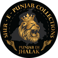 sherepunjabcollections.com